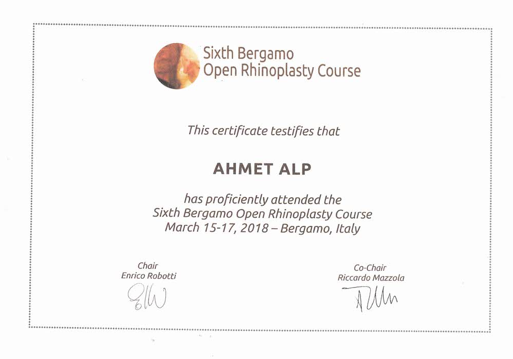 Dr. Ahmet Alp